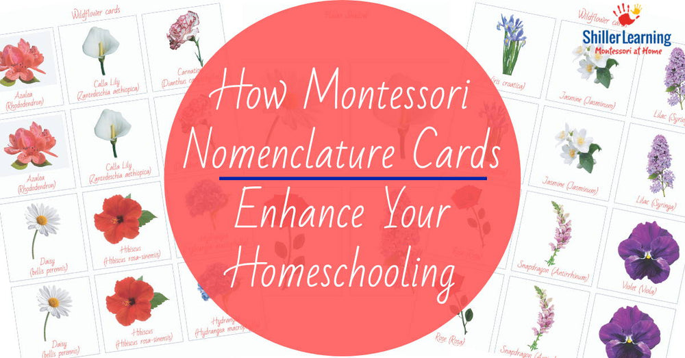 Language Arts – tagged "free Montessori printables" – ShillerLearning